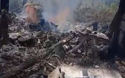 Una avioneta se estrelló en las Bahamas: al menos diez muertos y dudas por un incidente previo
