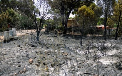 Evacúan a 3.500 personas de pueblo a 60 kilómetros m de Madrid por un incendio forestal