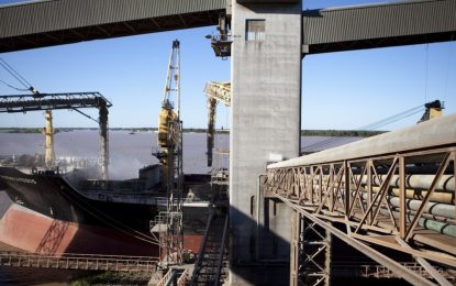 La suba de los granos mejora el aporte de divisas del agro: se esperan 35.200 millones de dólares