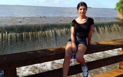 El crimen de Cecilia Lazcano: dos compañeros de colegio detenidos, el misterio del «poderoso» Max y un fiscal recusado