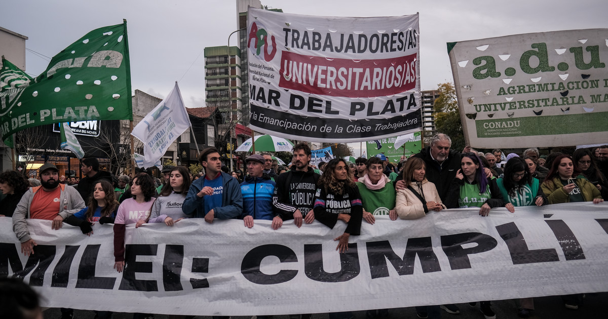 sin-acuerdo-por-el-financiamiento,-convocan-a-una-nueva-marcha-federal-universitaria-para-el-15-de-octubre-y-la-uba-hara-paros-escalonados-durante-23-dias