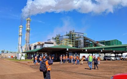 Las exportaciones siguen en alza: crecieron 12,4% en agosto y acumulan US$ US$ 67.248 millones en lo que va del año