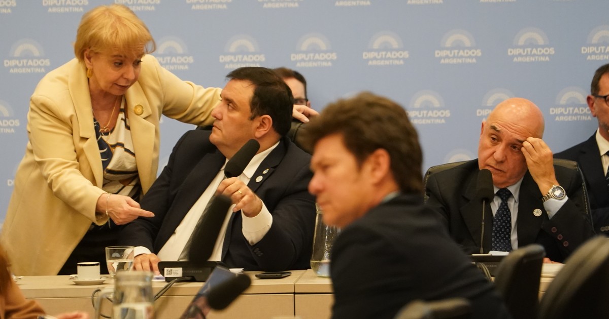 diputados:-tras-el-cortocircuito-con-el-ejecutivo,-el-oficialismo-define-su-nuevo-proyecto-de-discapacidad