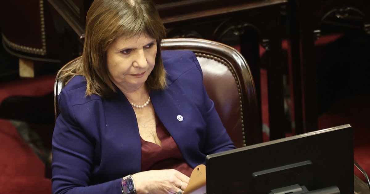 bullrich-pide-una-«correccion-en-el-rumbo»-y-le-reclama-a-milei-la-creacion-de-una-«alternativa-superadora»