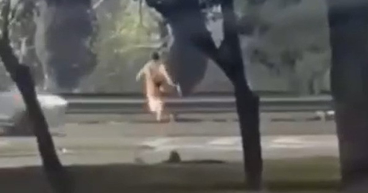 un-adolescente-de-13-anos-fue-atropellado-mientras-cruzaba-corriendo-una-autopista:-investigan-si-habia-cometido-un-robo