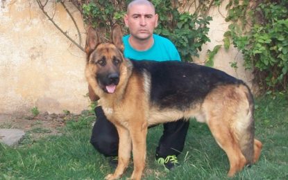 Caso Araceli Fulles: irá a juicio el adiestrador de perros que ya tiene dos condenas por plantar pruebas