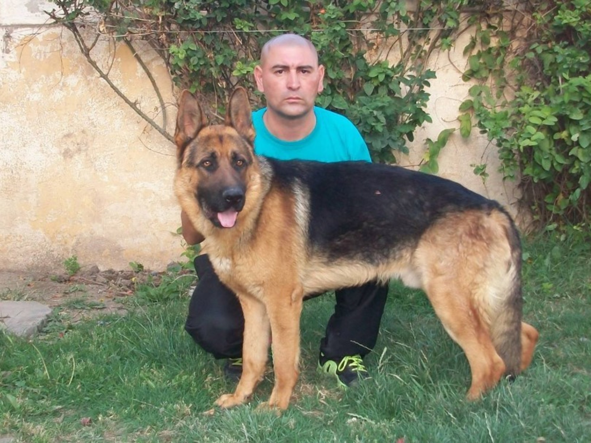 El adiestrador de perros Marcos Herrero