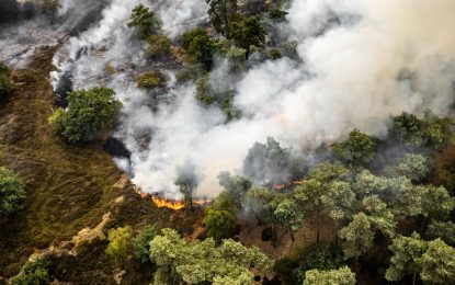 Los gases de efecto invernadero marcaron un nuevo récord y la ONU advierte por el impacto de El Niño