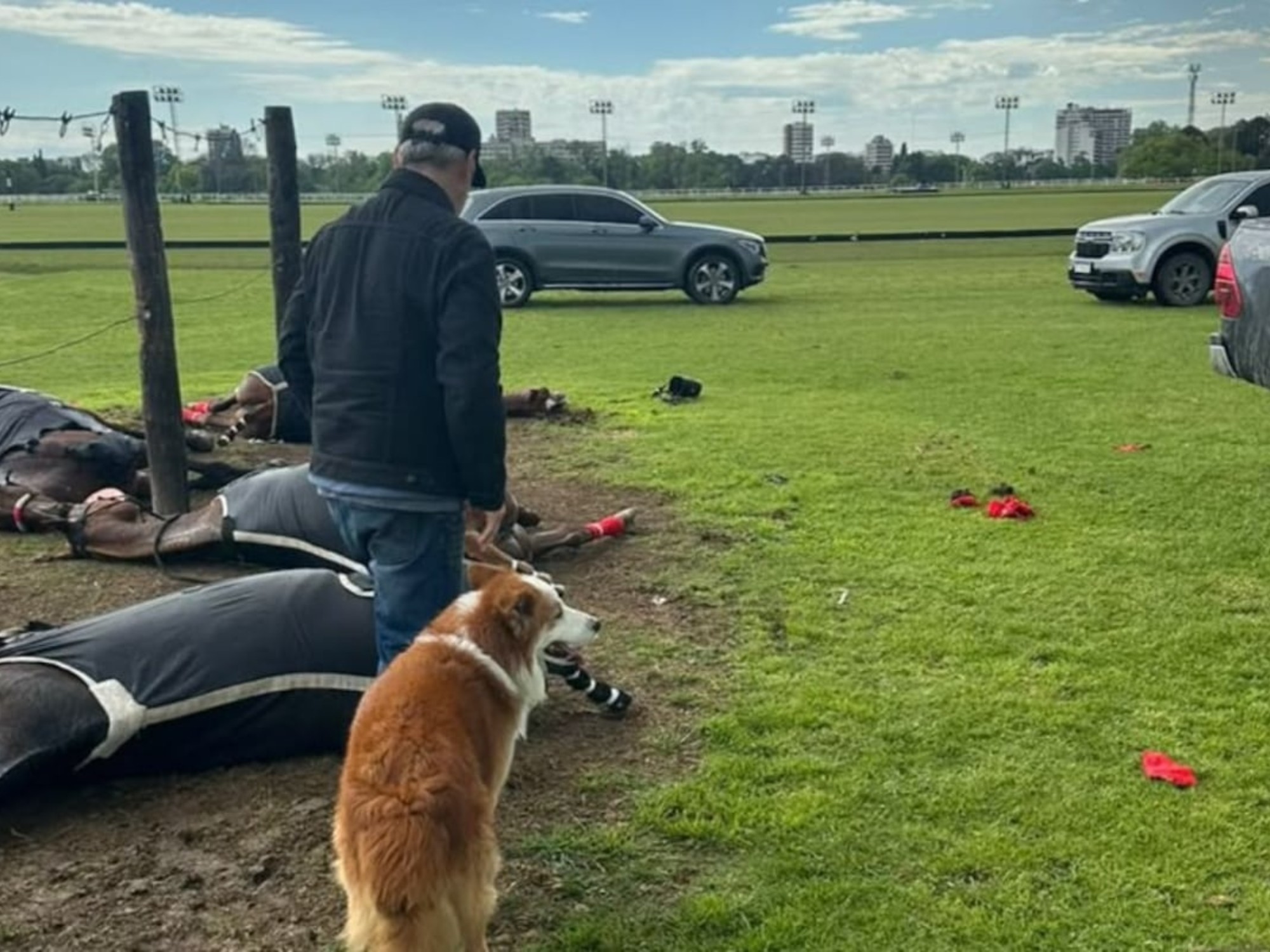 Un rayo mató a cuatro yeguas que estaban practicando en la cancha 6