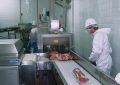 Las exportaciones de carne superaron en nueve meses todo el ingreso de 2025